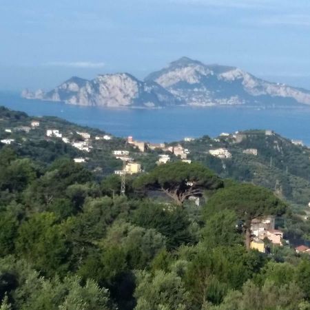La Vista Sul Golfo Διαμέρισμα Massa Lubrense Εξωτερικό φωτογραφία