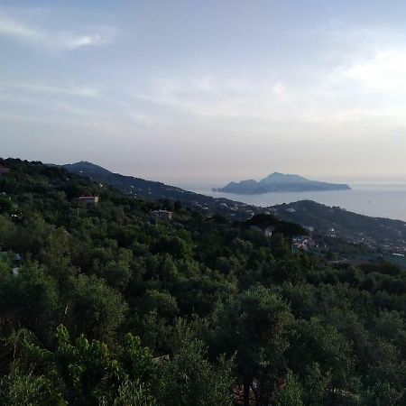 La Vista Sul Golfo Διαμέρισμα Massa Lubrense Εξωτερικό φωτογραφία