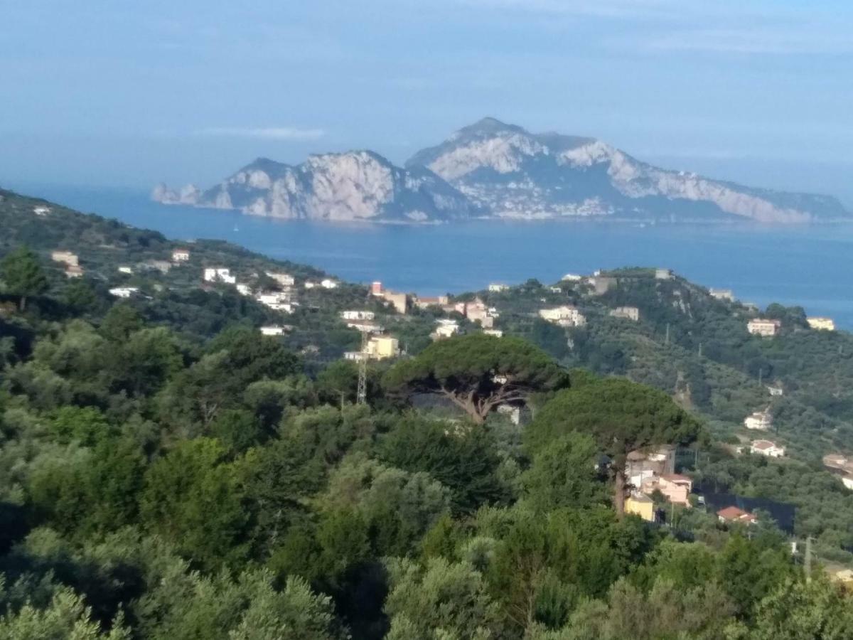 La Vista Sul Golfo Διαμέρισμα Massa Lubrense Εξωτερικό φωτογραφία