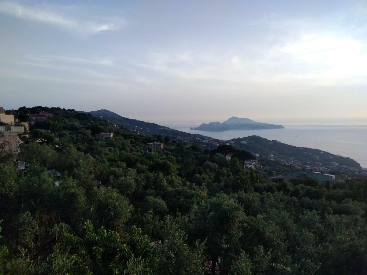 La Vista Sul Golfo Διαμέρισμα Massa Lubrense Εξωτερικό φωτογραφία