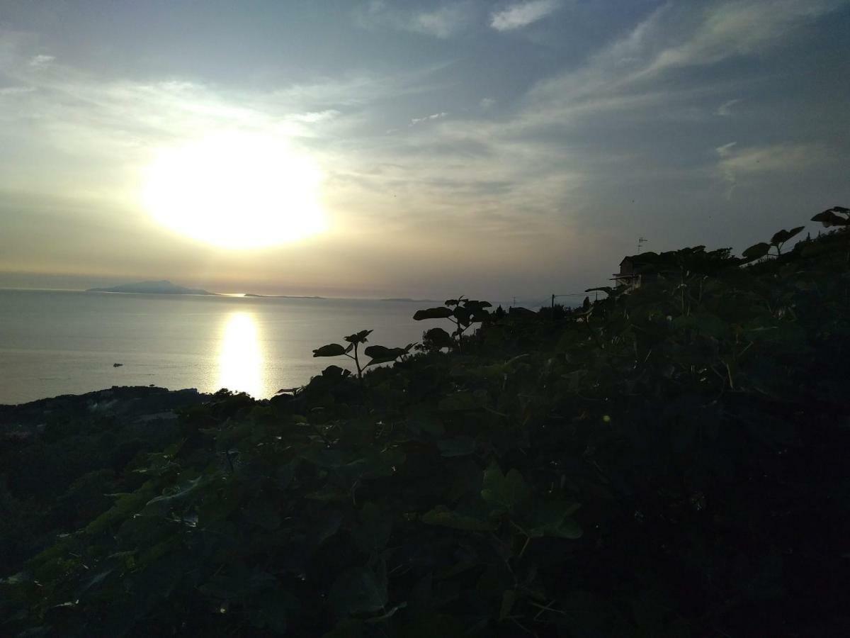 La Vista Sul Golfo Διαμέρισμα Massa Lubrense Εξωτερικό φωτογραφία